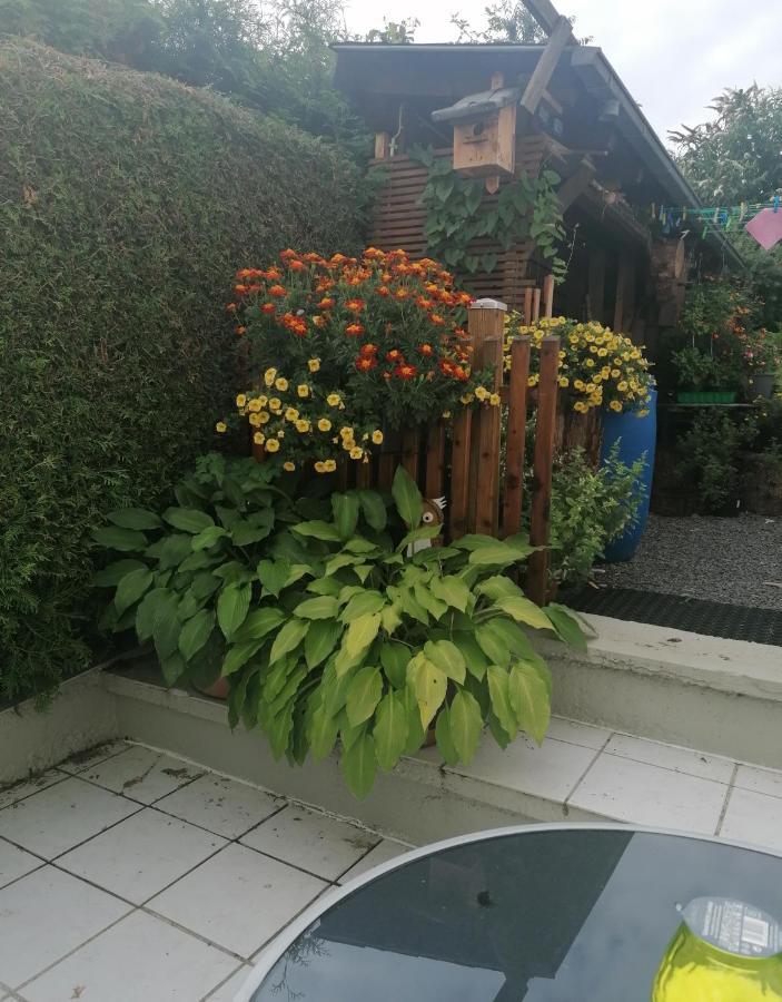 Ferienwohnung Grete Trier Buitenkant foto